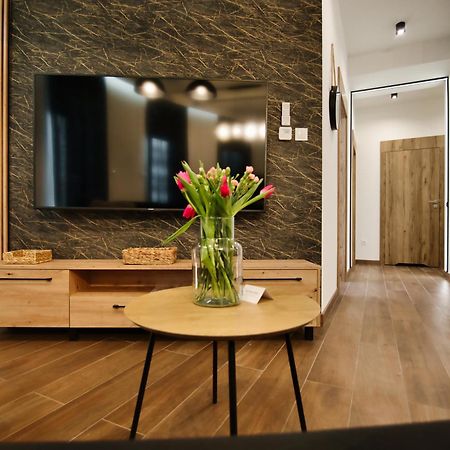 Apartamenty Laguna Beskidow - A2 ซาร์เชตเช ภายนอก รูปภาพ